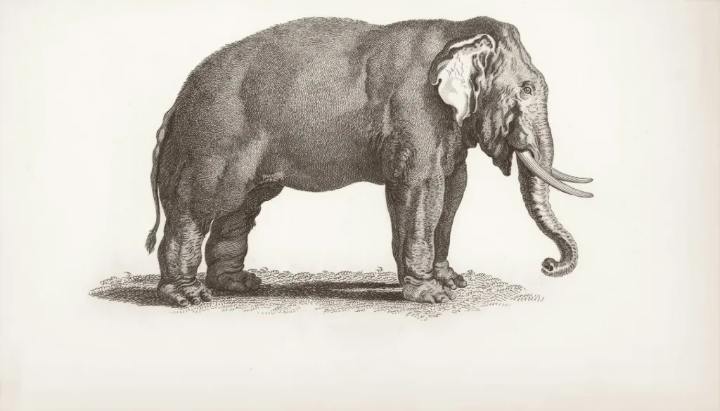 Étui à crayons à deux fermetures à glissière Louis Garneau (enfants)